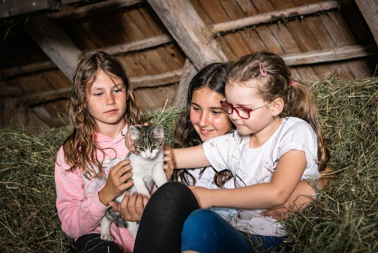 Gasthof Pension Orthofer Sankt Jakob im Walde Bagian luar foto